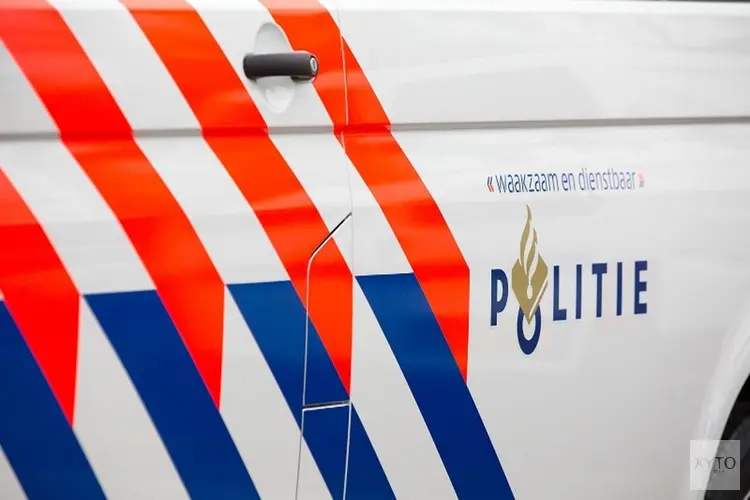 Auto raakt van de weg