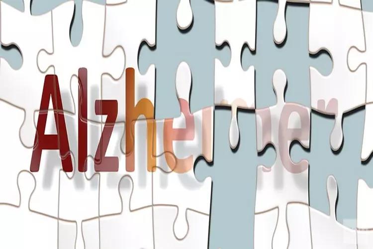 Wereld Alzheimer Dag in de Noordkop: Voorstelling DE VERRASSING & Certificering dementievriendelijke gemeente Hollands Kroon