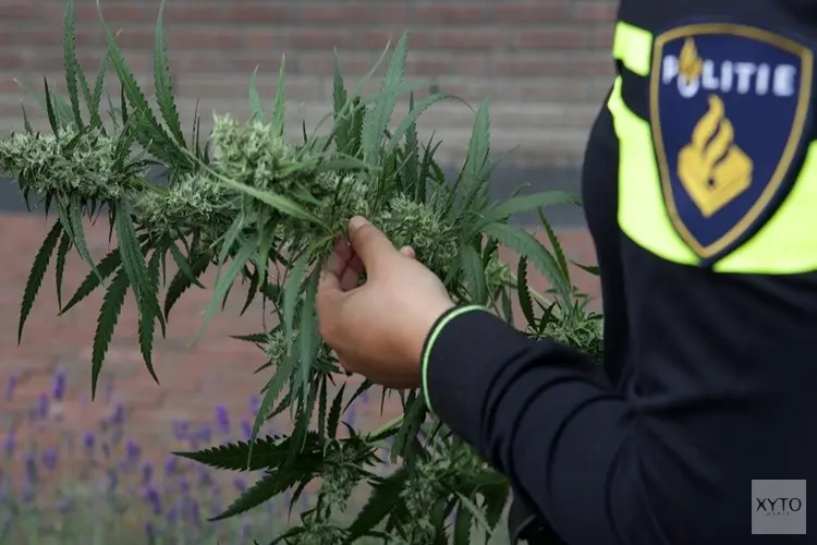 Burgemeester sluit drugspand in Hippolytushoef