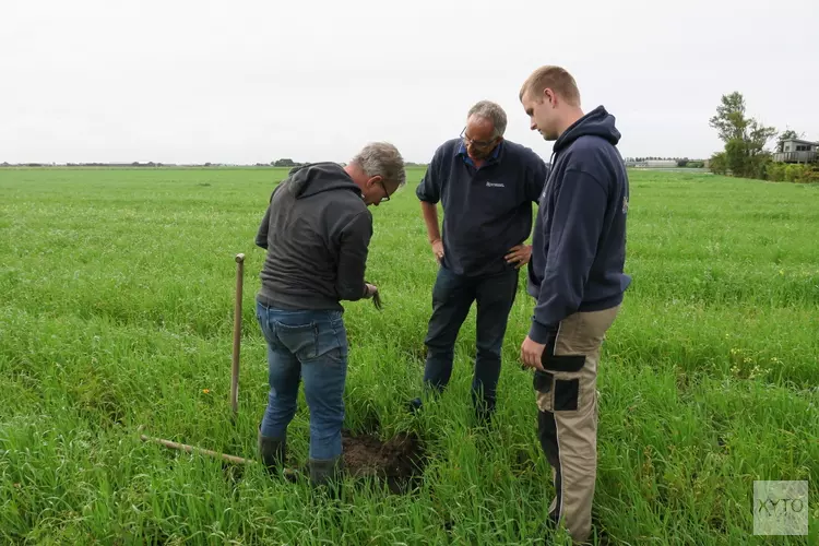 Subsidiebudget voor Noord-Hollandse boeren aangevuld