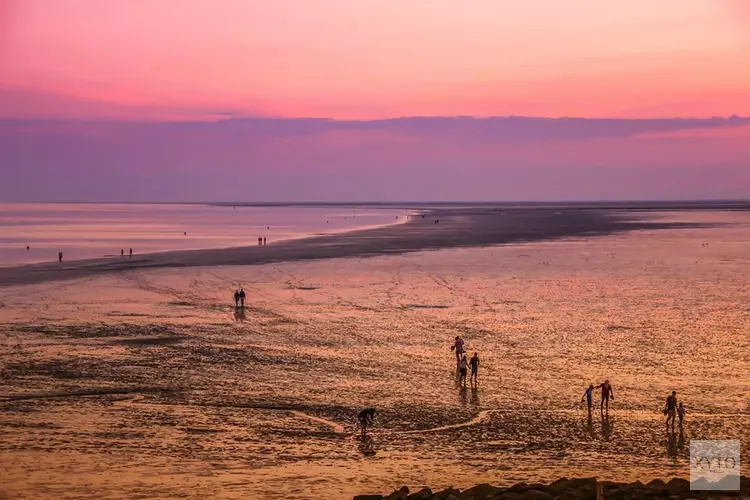 Nacht van het Wad officieel van start op langste nacht van het jaar