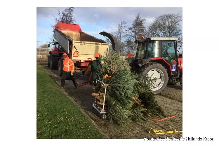 Inzameling kerstbomen Hollands Kroon voor € 0,50 per boom