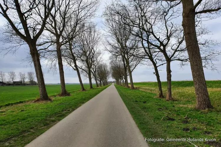 Firma Stoop start met verwijderen populieren langs Wieringerrandweg