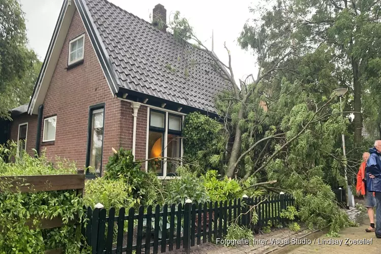 Grote boom tegen woning gewaaid in Westerland, veel schade