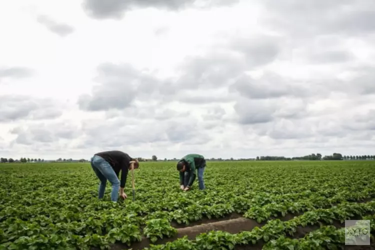 Onderzoek huisvestingslocaties arbeids-migranten levert 14 voorkeursgebieden op