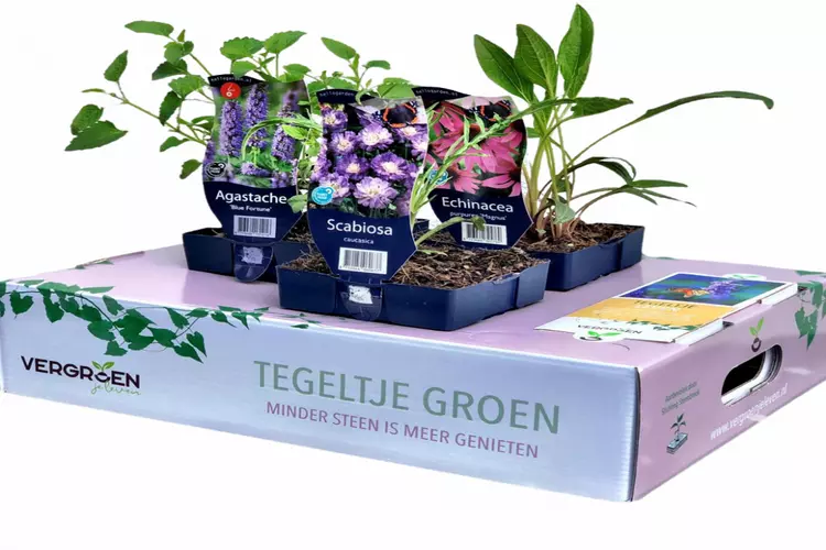 Gemeente Hollands Kroon deelt gratis plantenpakketten uit