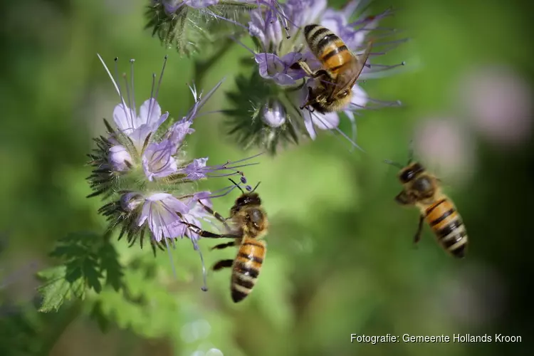 &#39;Maai Mei Niet&#39; voor bloemen en bijen