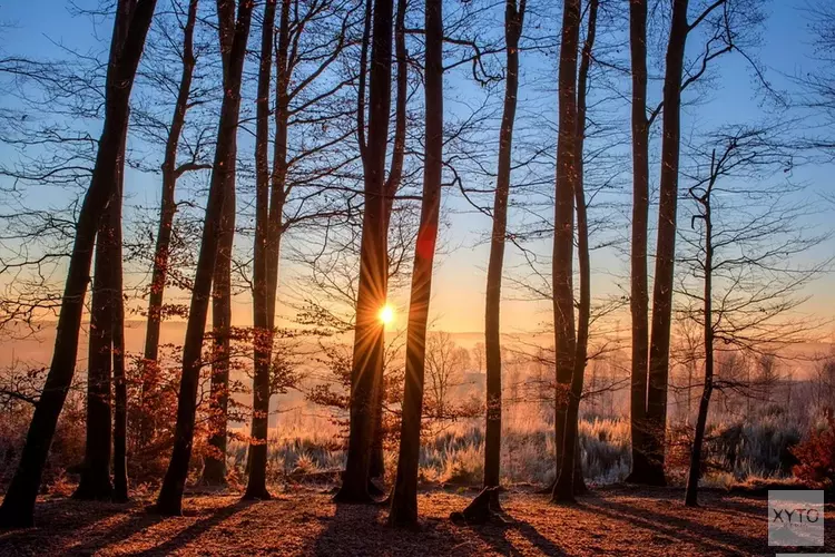 Meer bomen in Hollands Kroon