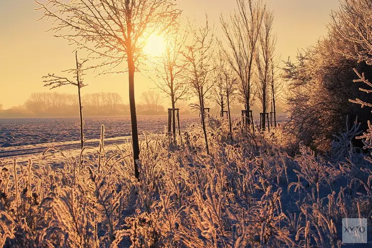 Koude nachten, overdag veel zon