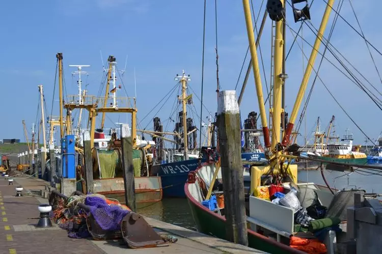 Samen plannen maken voor de toekomst van de Visserijsector