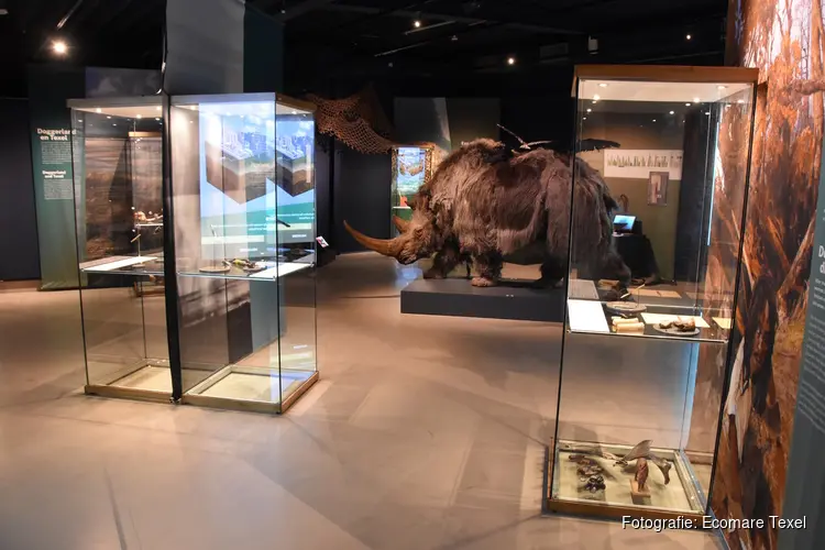 Tentoonstelling Doggerland bij Ecomare geopend