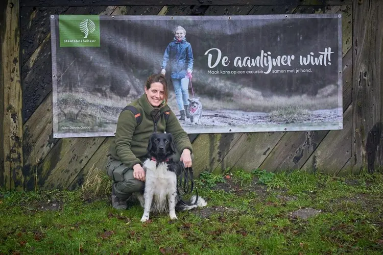 De aanlijner wint