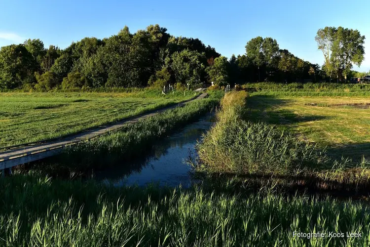 Wandel mee door de oude wadgeul Kruiszwin bij Anna Paulowna