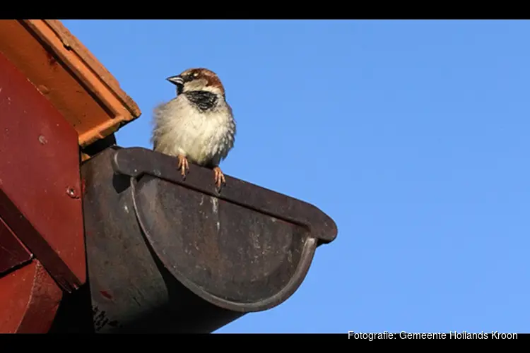 Onderzoek naar beschermde dieren