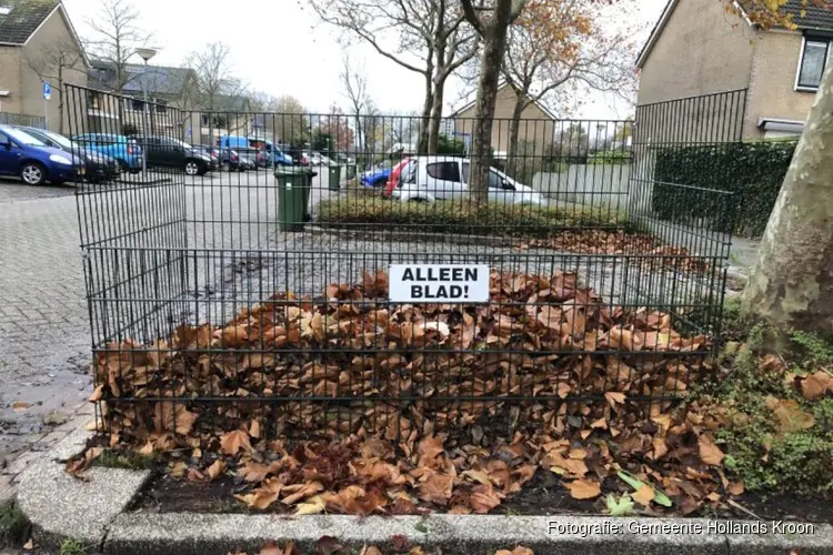 Bladkorven bij u in de buurt