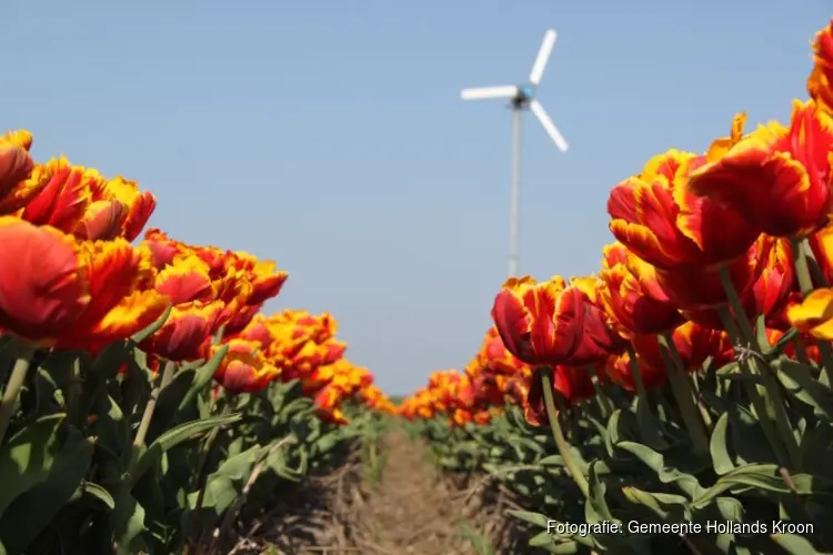 In gesprek over kleine windturbines - update inwonersavond 29 januari