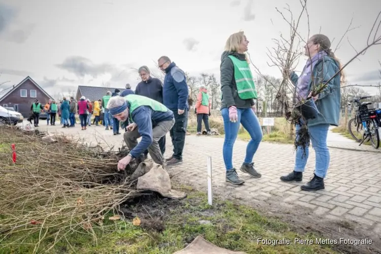 Uitdeeldagen Meer Bomen Nu groot succes: 30.000 bomen uitgedeeld