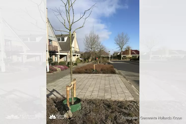 Aanplant nieuwe bomen in Hollands Kroon