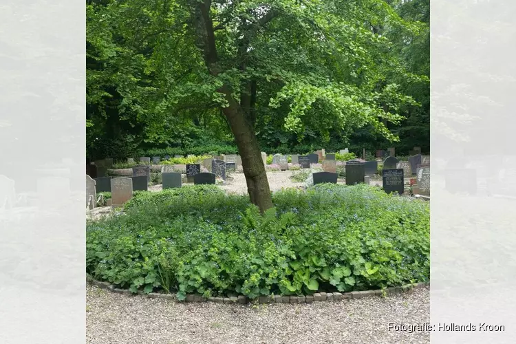Gebruik van bestrijdingsmiddelen op begraafplaatsen niet meer toegestaan