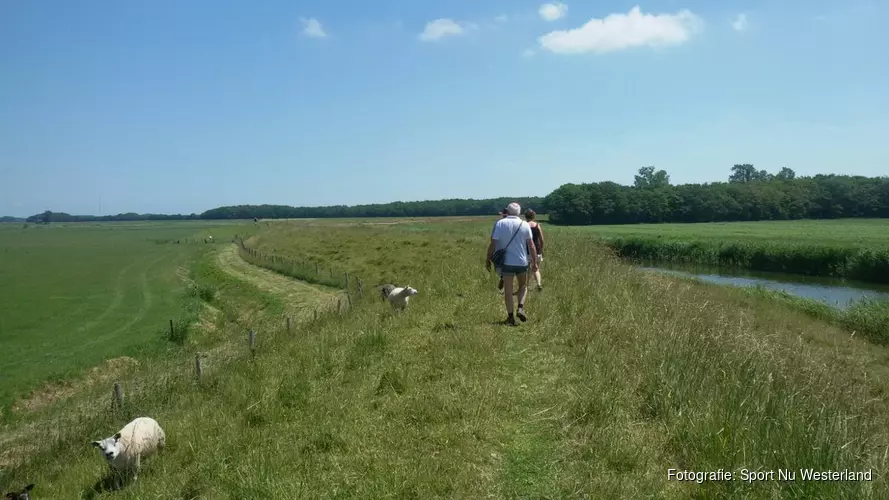 Wandelen over dijken en door landerijen op Wieringen!