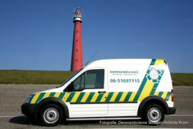 Dierenambulance Schagen: "Overstappen op betaalde organisatie bij gebrek aan vrijwilligers"